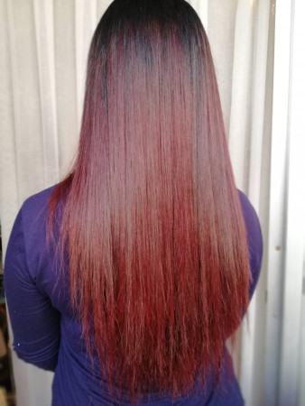 Imagen 2