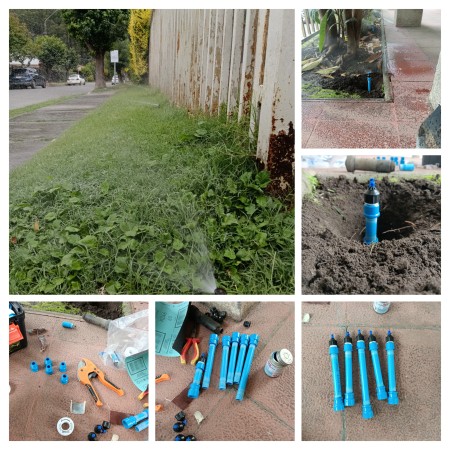Imagen 7 de servicio