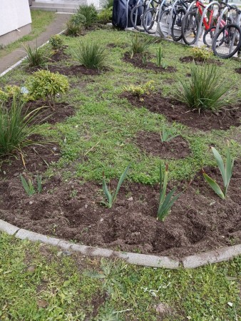 Imagen 4 de servicio