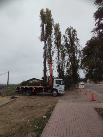 Imagen 2