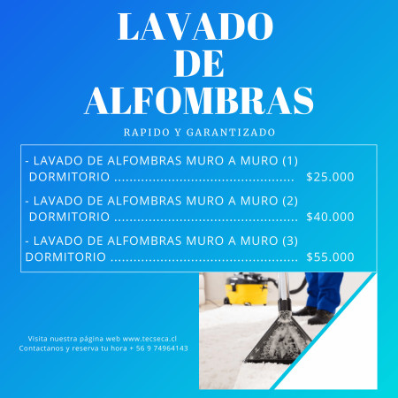Imagen 0