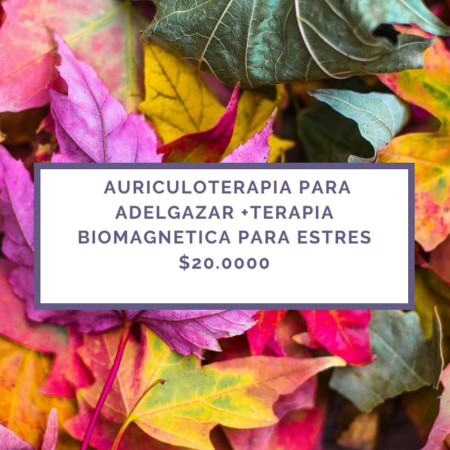 Imagen 0