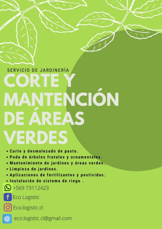 Imagen 5 de servicio