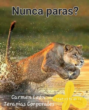 Imagen 17 de servicio