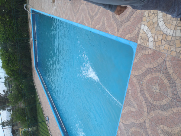 Imagen 4 de servicio