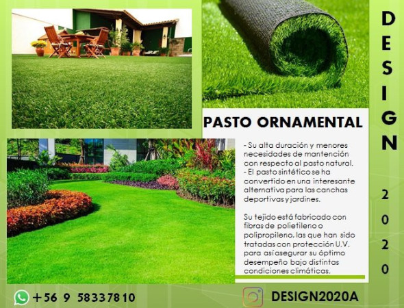 Imagen 8 de servicio