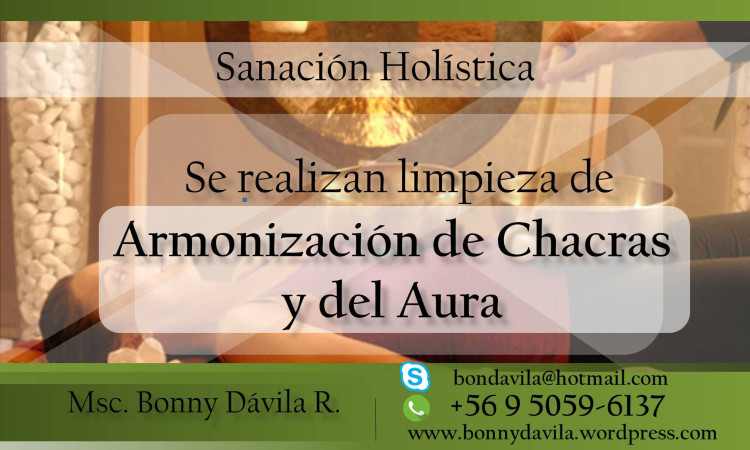 Imagen 2