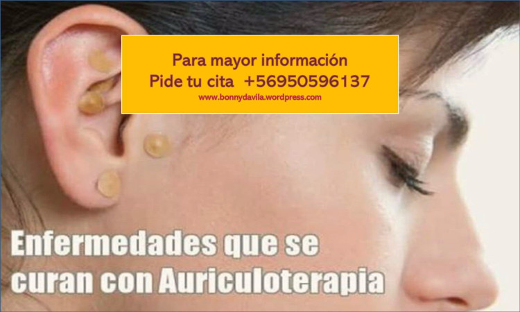 Imagen 4 de servicio