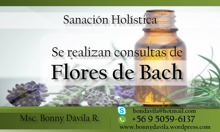 Imagen 7 de servicio