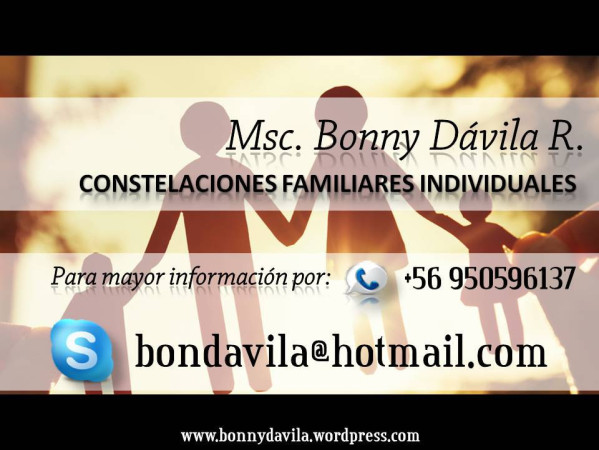 Imagen 9 de servicio