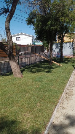 Imagen 113 de servicio