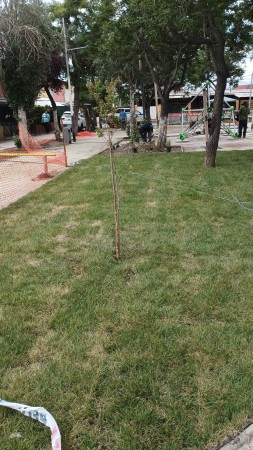 Imagen 115 de servicio
