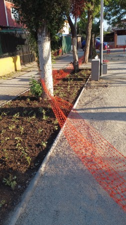 Imagen 114 de servicio