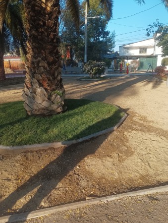 Imagen 162 de servicio