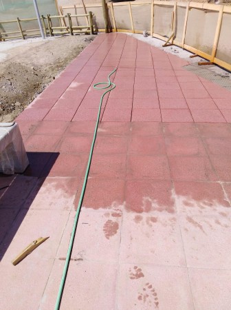 Imagen 238 de servicio