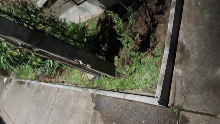 Imagen 5 de servicio