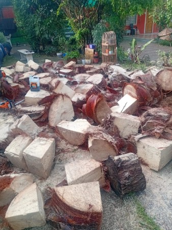 Imagen 6 de servicio