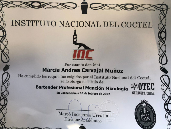 Imagen 19 de servicio
