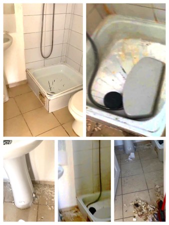 Imagen 8 de servicio