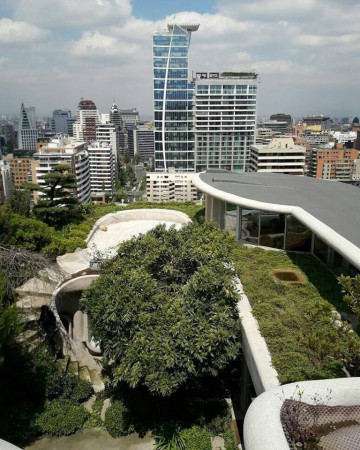 Imagen 3 de servicio