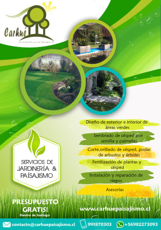 Imagen 4 de servicio