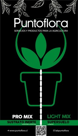 Imagen 11 de servicio