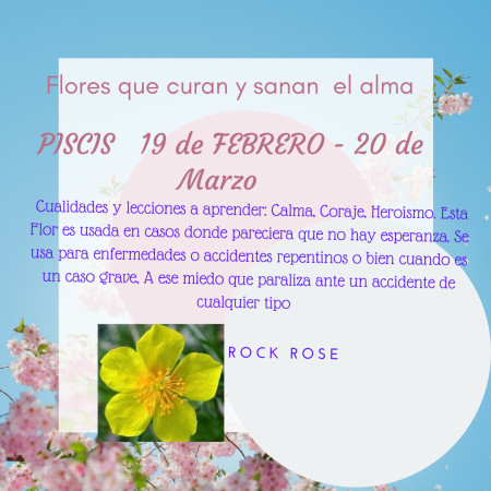 Imagen 0
