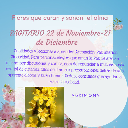 Imagen 3 de servicio