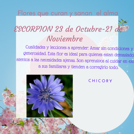 Imagen 4 de servicio