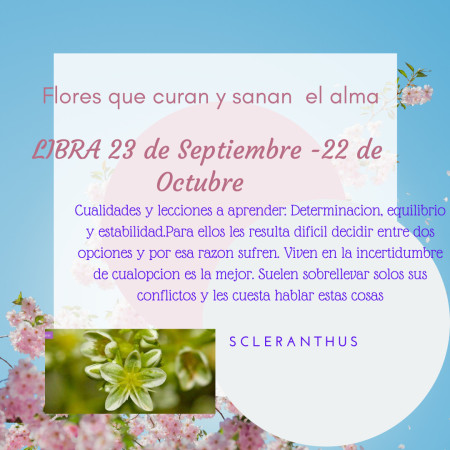 Imagen 5 de servicio