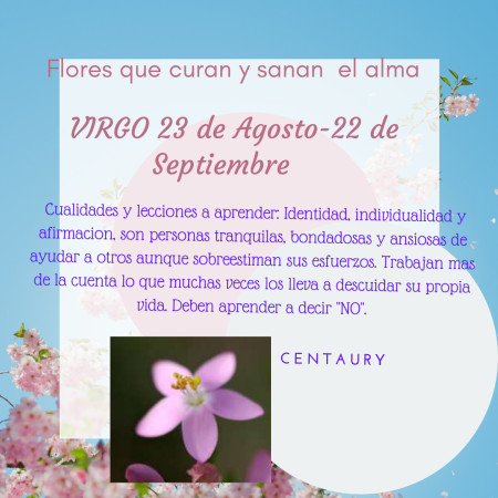 Imagen 6 de servicio
