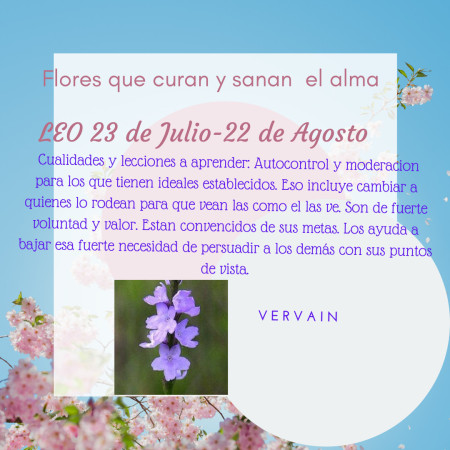 Imagen 7 de servicio