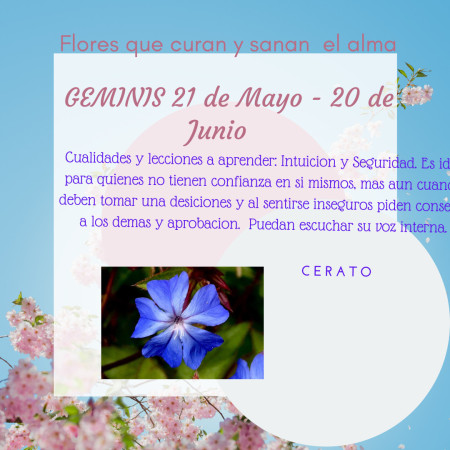 Imagen 9 de servicio