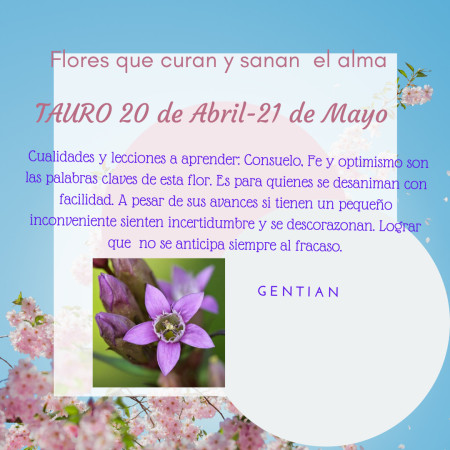 Imagen 10 de servicio