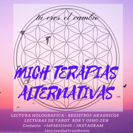 Imagen 14 de servicio