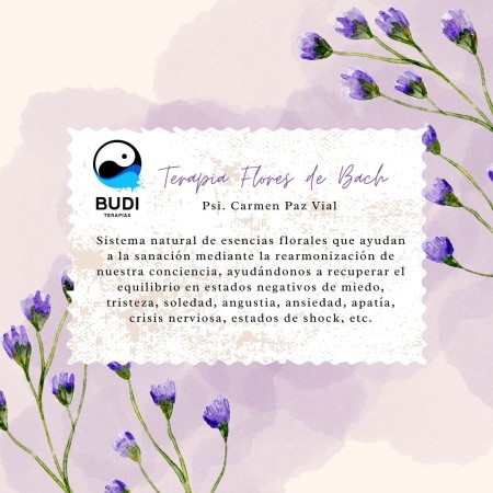 Imagen principal del servicio