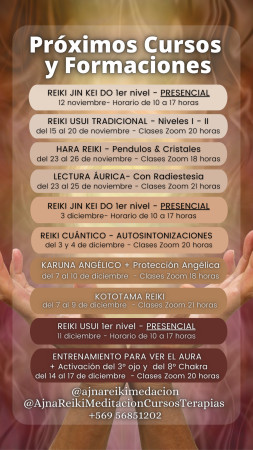 Imagen 8 de servicio