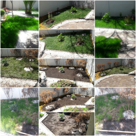 Imagen 3 de servicio