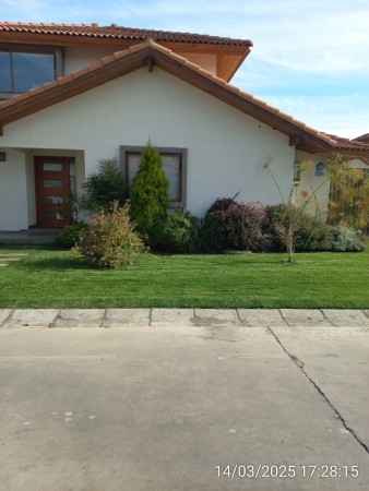 Imagen 4 de servicio