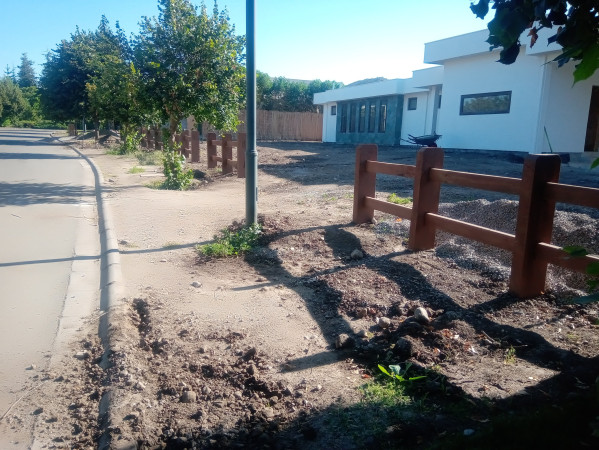 Imagen 7 de servicio
