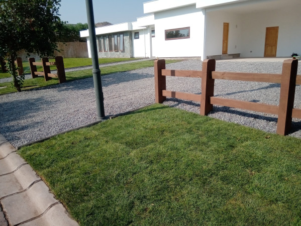 Imagen 8 de servicio