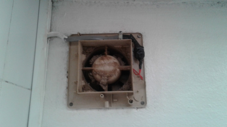 Imagen 39 de servicio