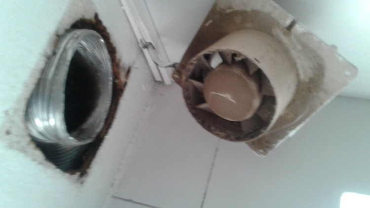 Imagen 41 de servicio