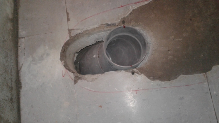 Imagen 42 de servicio