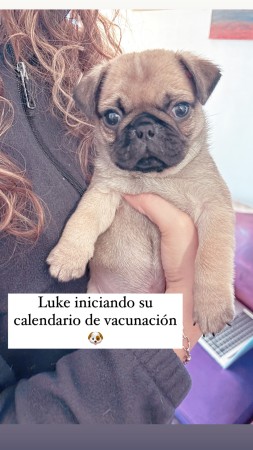 Imagen 5 de servicio
