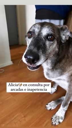 Imagen 6 de servicio