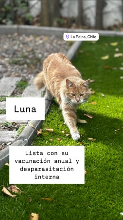 Imagen 18 de servicio