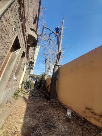 Imagen 11 de servicio