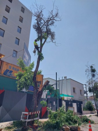 Imagen 8 de servicio