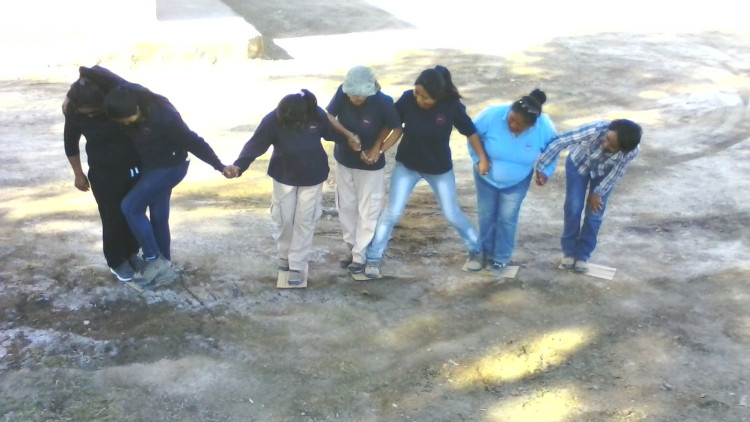 Imagen 2